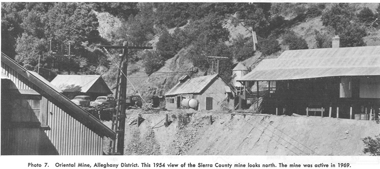 Oriental Mine, Alleghany District