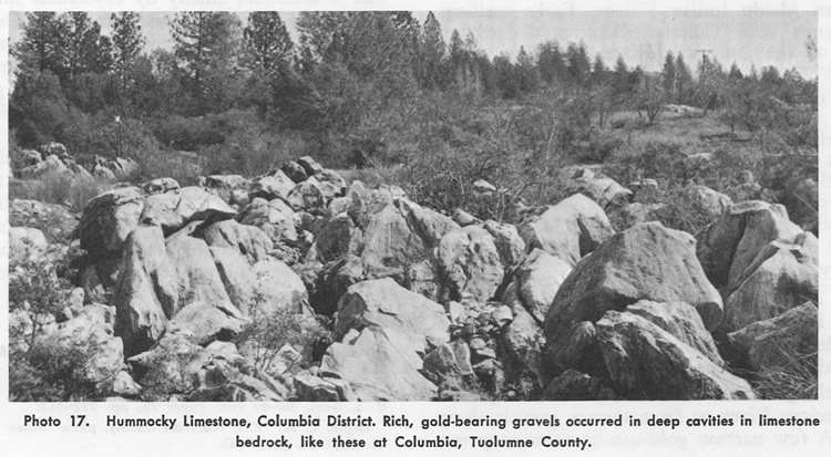 Limestone Bedrock, Columbia District