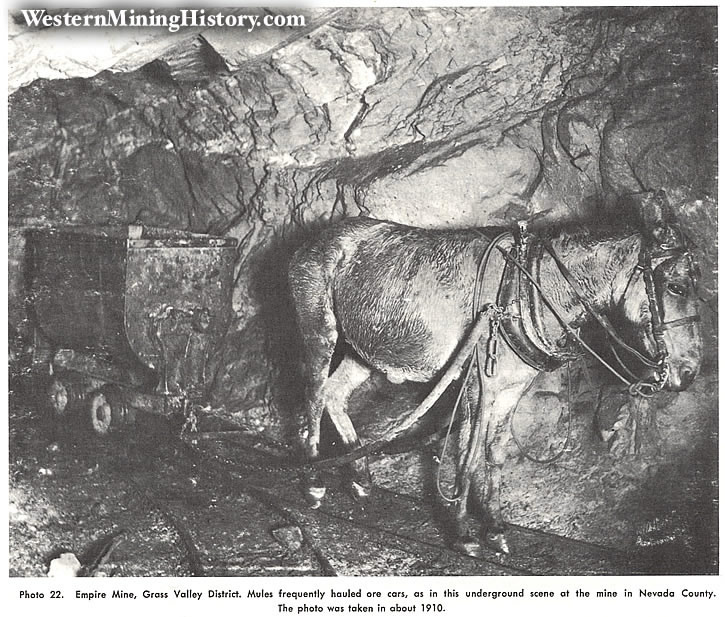 Mule pulling ore car, Empire Mine