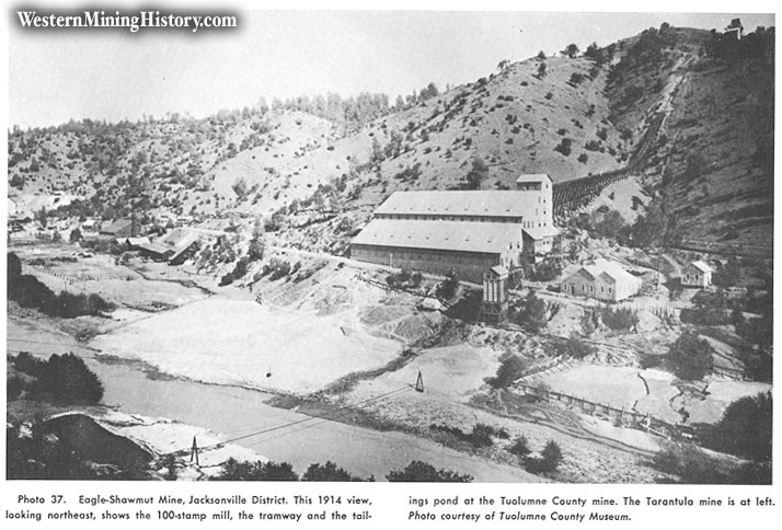 Eagle-Shawmut Mine, Jacksonville District