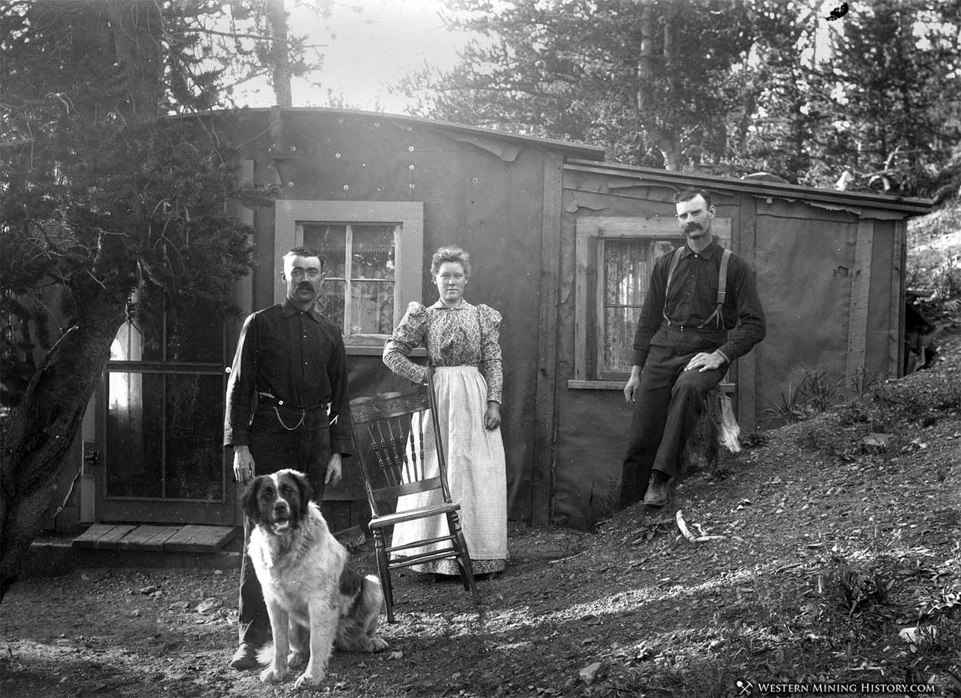 Dog poses at Tom Ellis' home near Altman Colorado