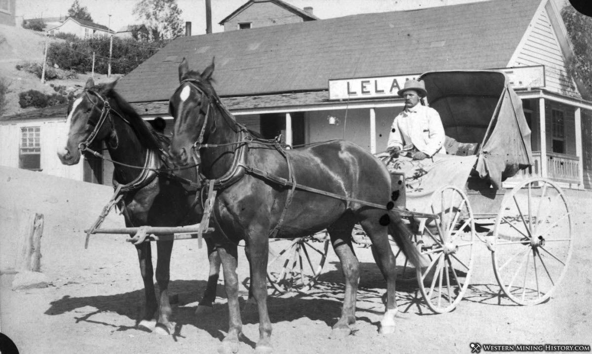 Horse-drawn carriage Austin Nevada