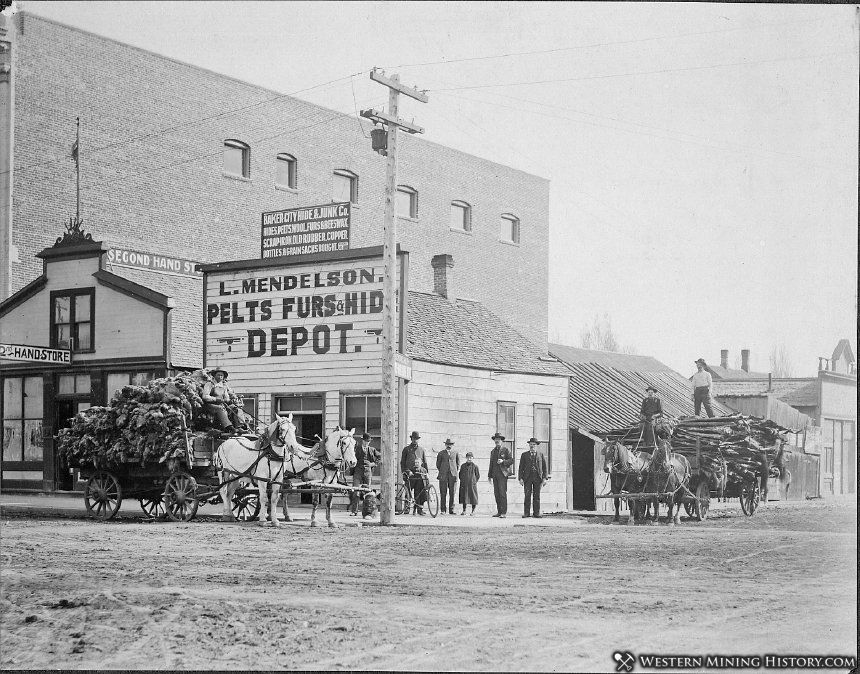 Mendelson's Pelts, Furs, & Hides Depot - Baker City, Oregon ca. 1905