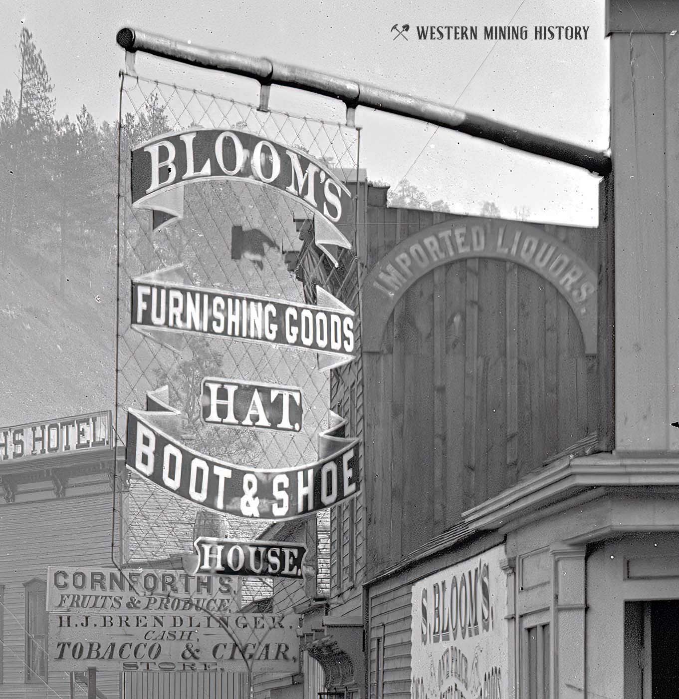 Elaborate sign for Bloom's Mercantile - Deadwood 1877