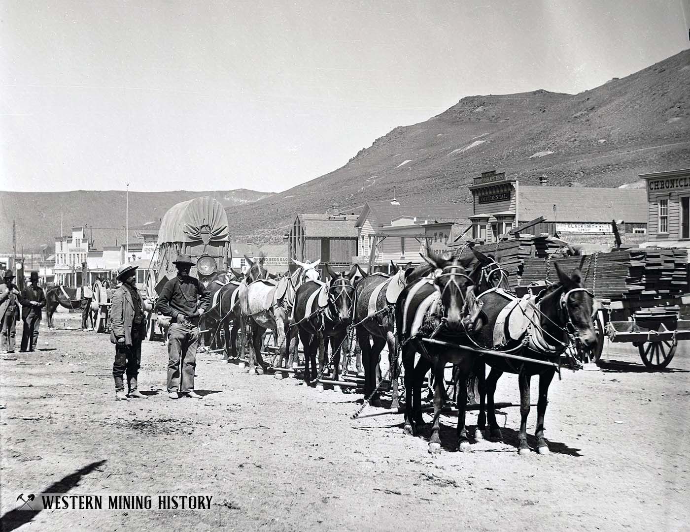 Freight team at Bodie, California ca. 1880