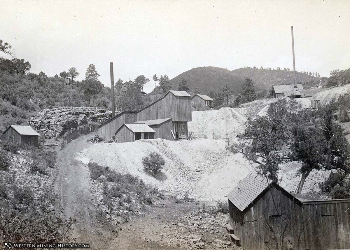 Bullion-Lady Franklin Mines - Kingston, New Mexico