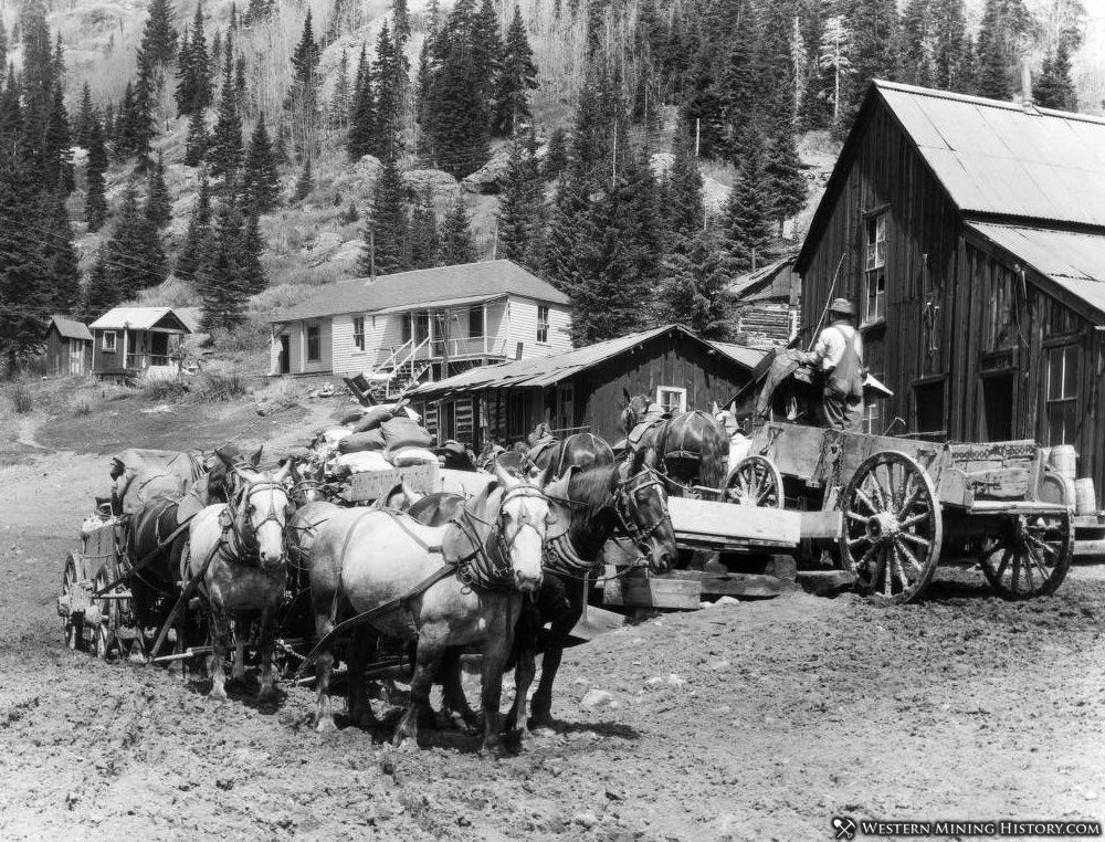 Hauling ore by wagon team at the Camp Bird mine