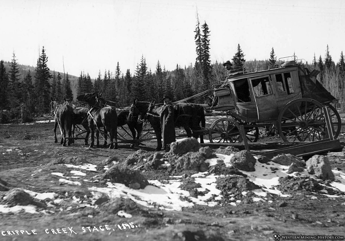 Cripple Creek Stage 1895