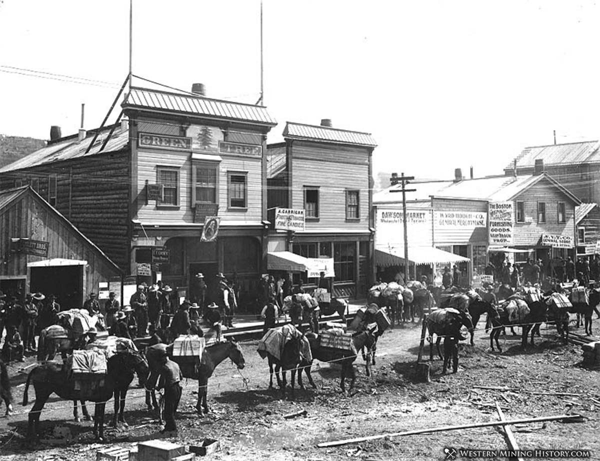 Packtrain at Dawson City 1899