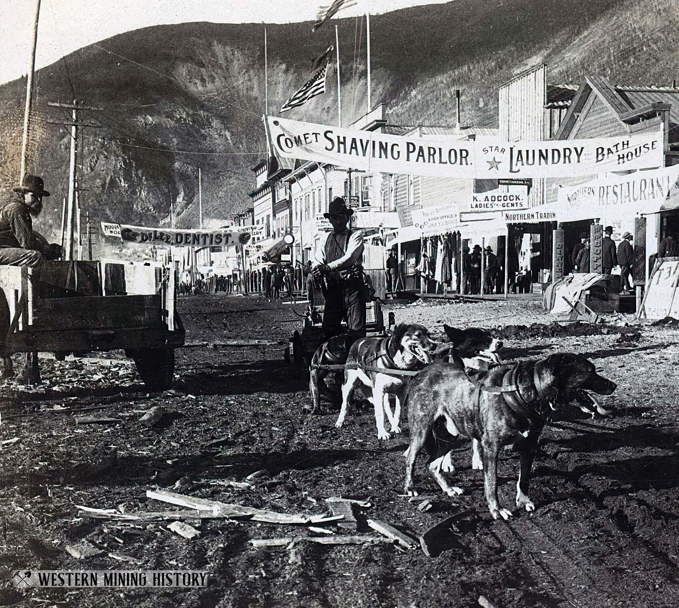 Dog team pulls a cart at Dawson City 1900