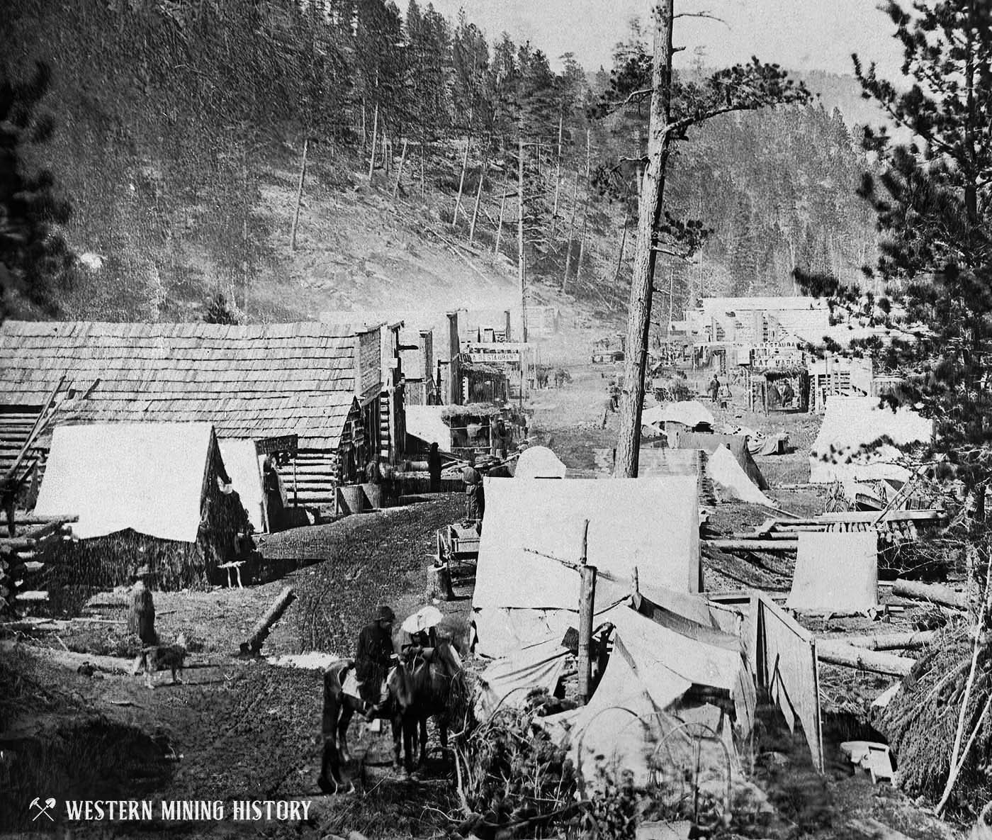 Deadwood Dakota Territory 1876 Western Mining History