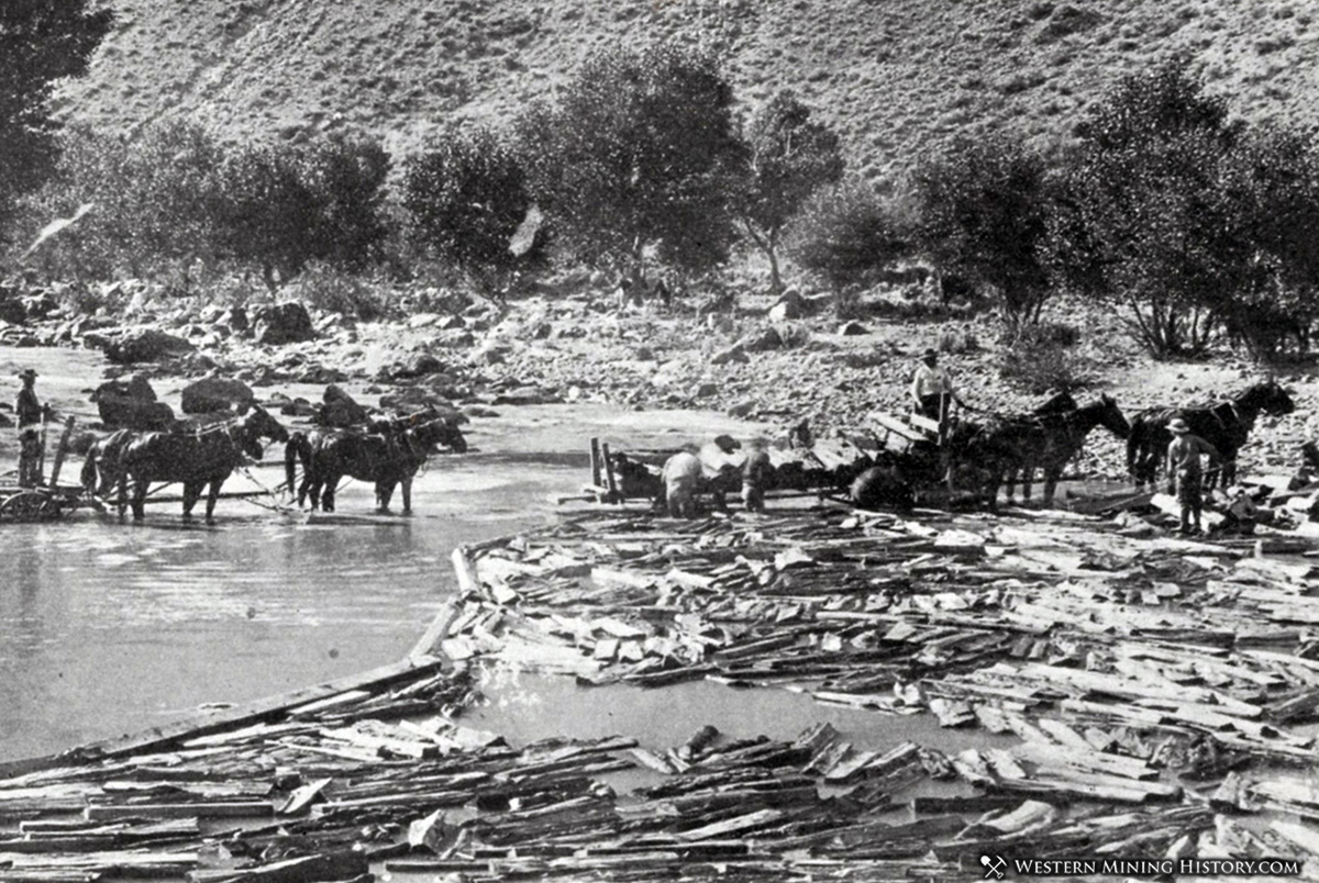 Wood being teamed out of the Carson River near Empire City