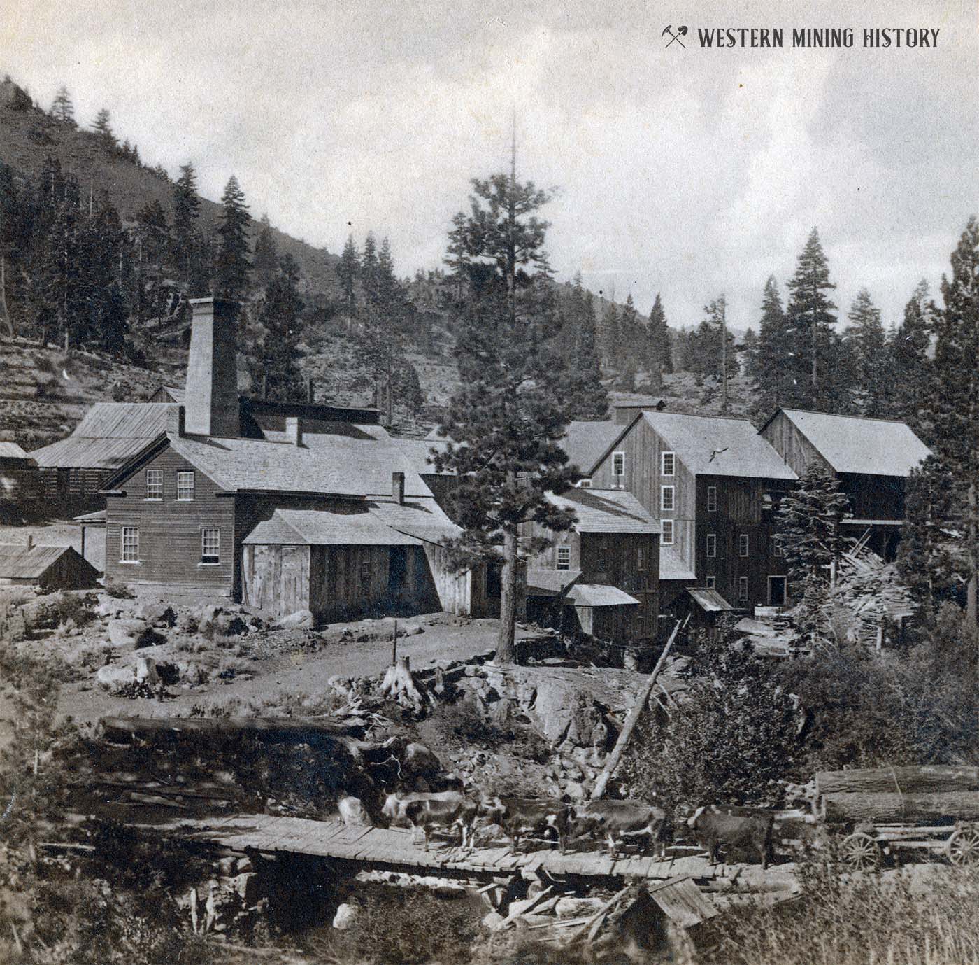 Exchequer Mill near Silver Mountain