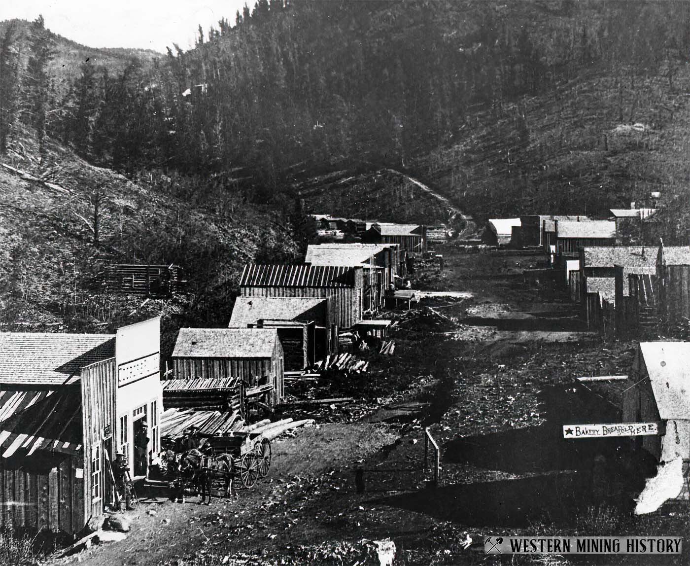 Exchequer, Colorado ca. 1881