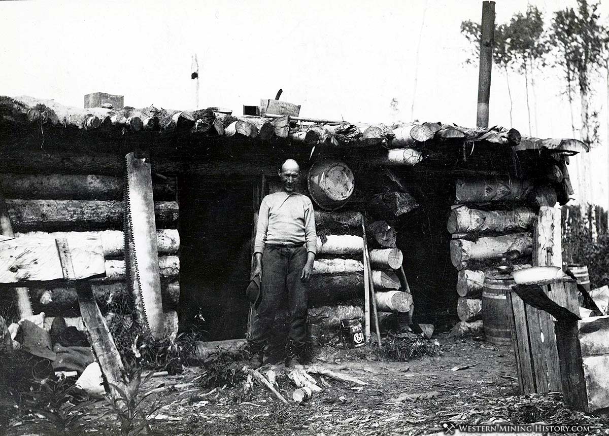 Woodcutters cabin at Fairbanks Alaska 1909