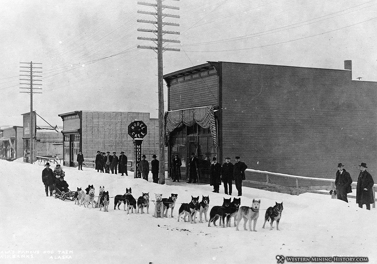 Dog sled team at Fairbanks Alaska