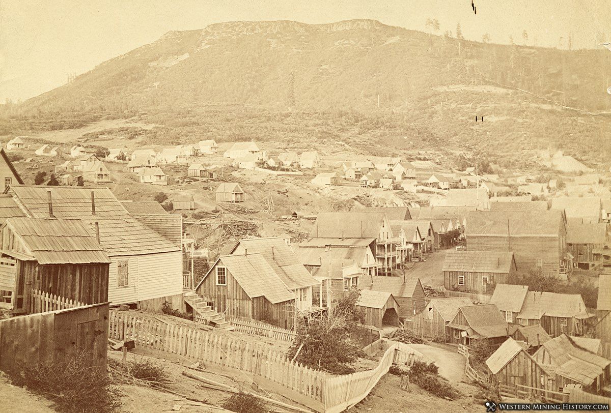 View of Forest City, California