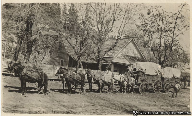 Freight team at Foresthill, California ca. 1910