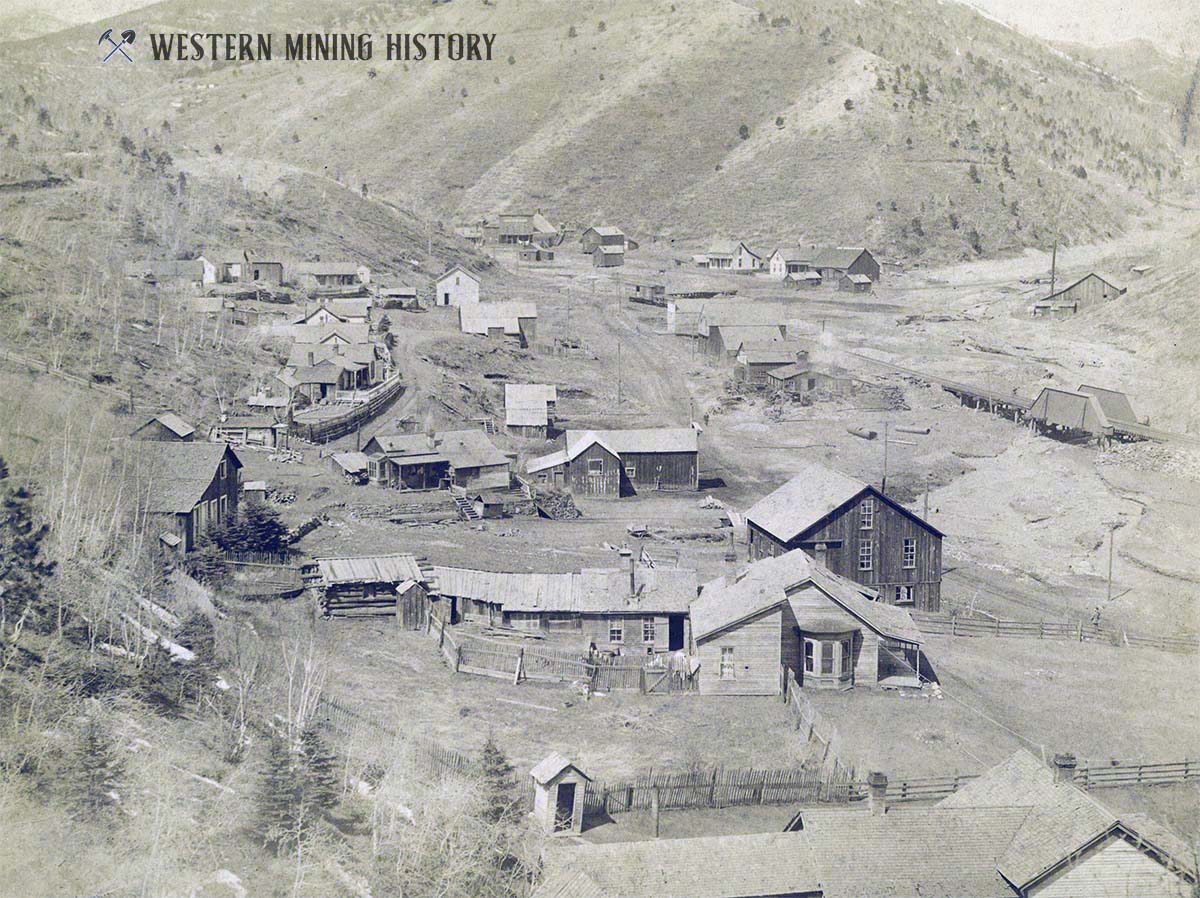 Gayville and Blacktail Gulch - Black Hills ca. 1880s
