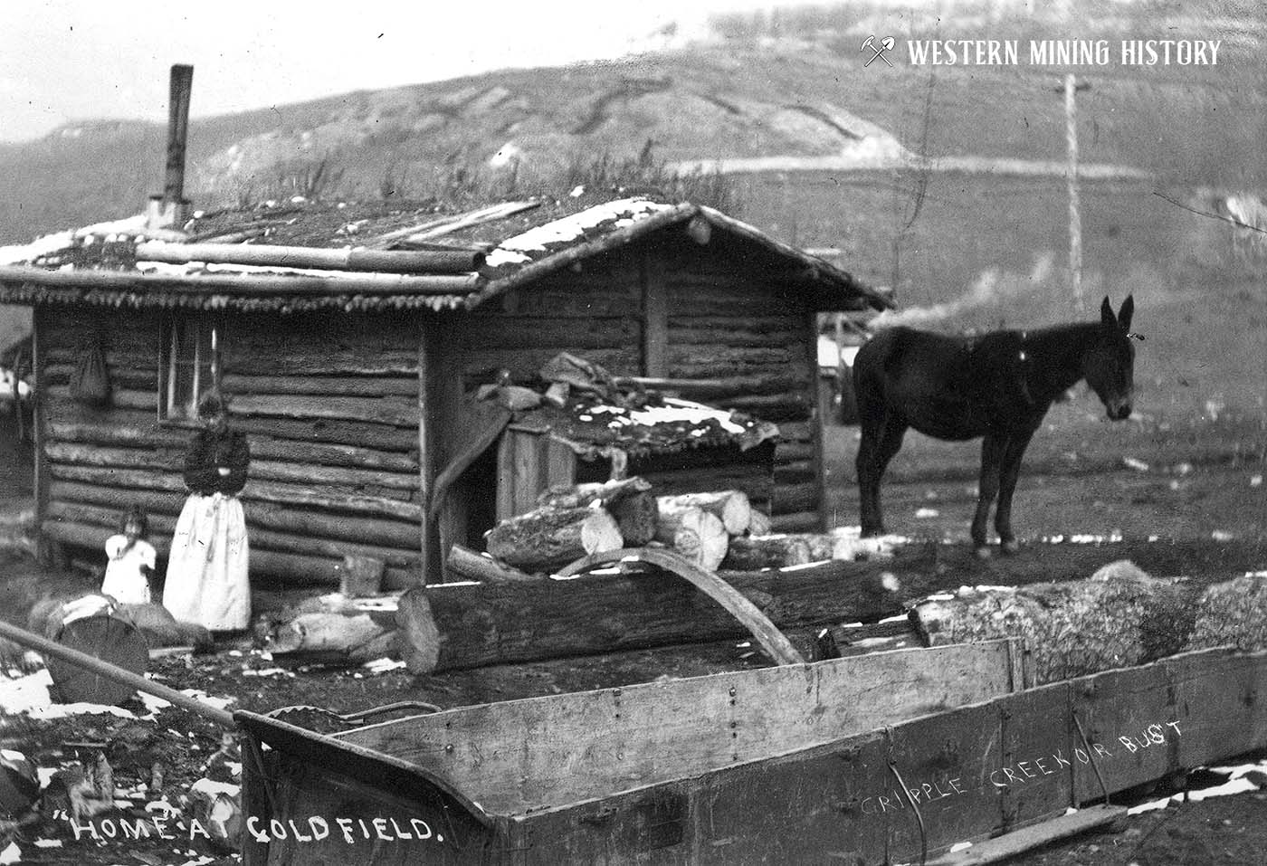 Cabin at Goldfield, Colorado ca. 1895