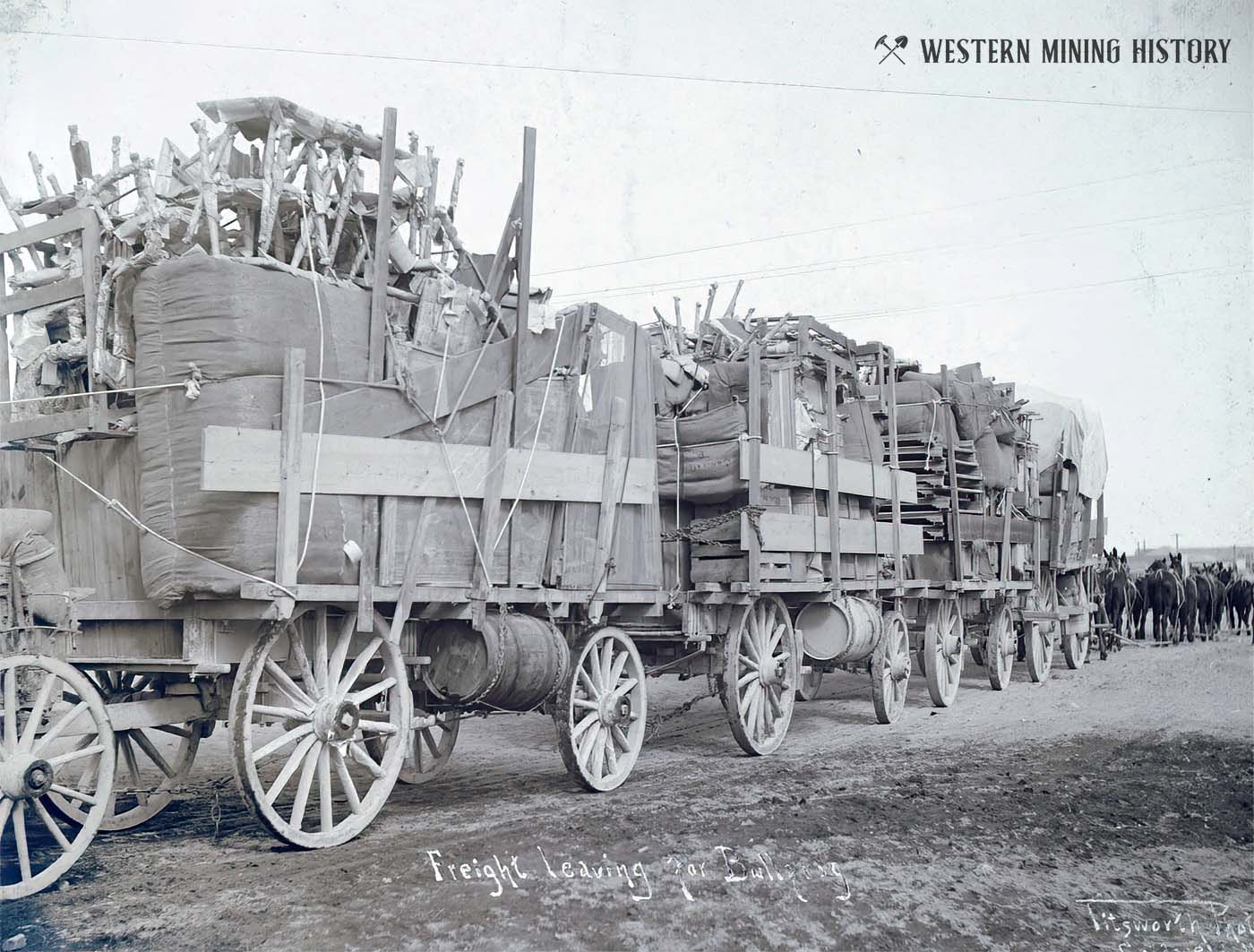 Freight wagons heading from Goldfield to the Bullfrog Mining Rush