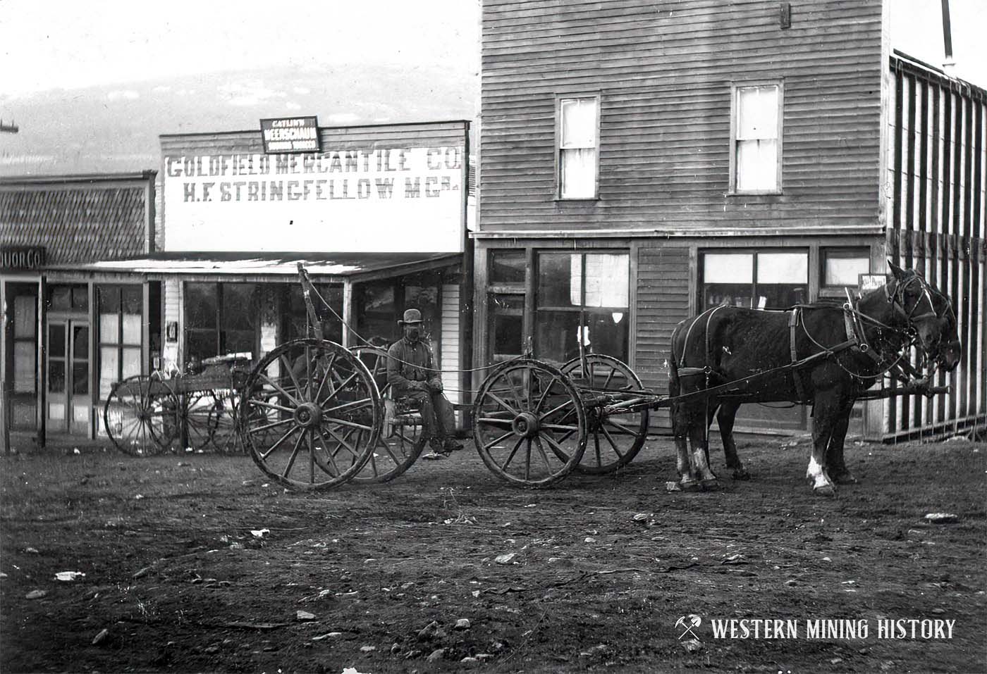 Goldfield Colorado