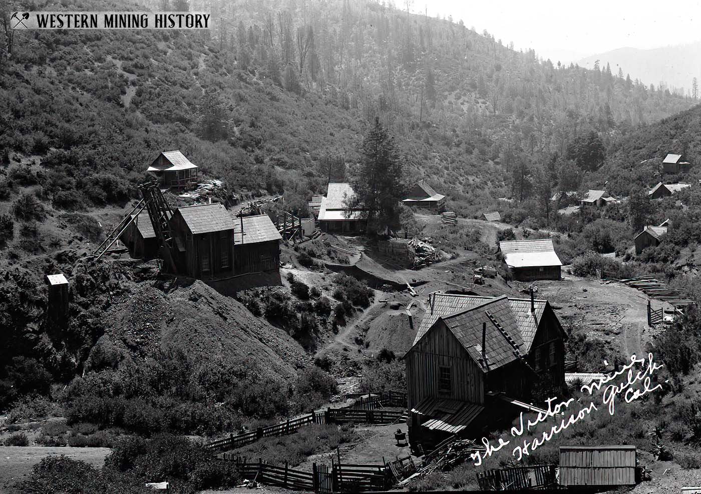 Victor mine at Harrison Gulch