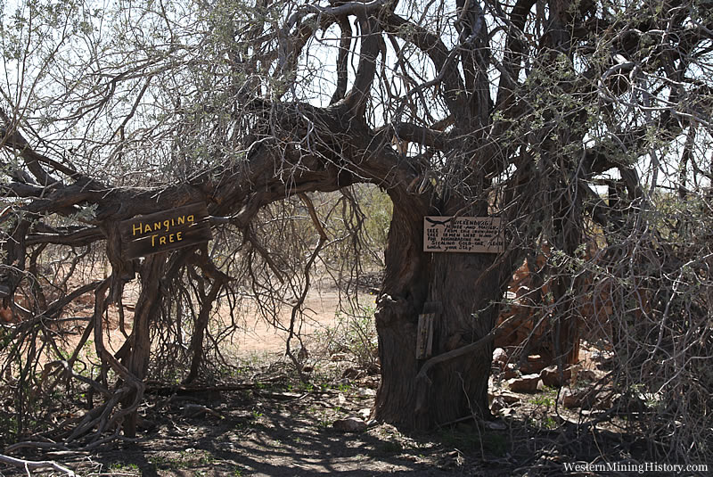 Hanging Tree at Vulture City Arizona