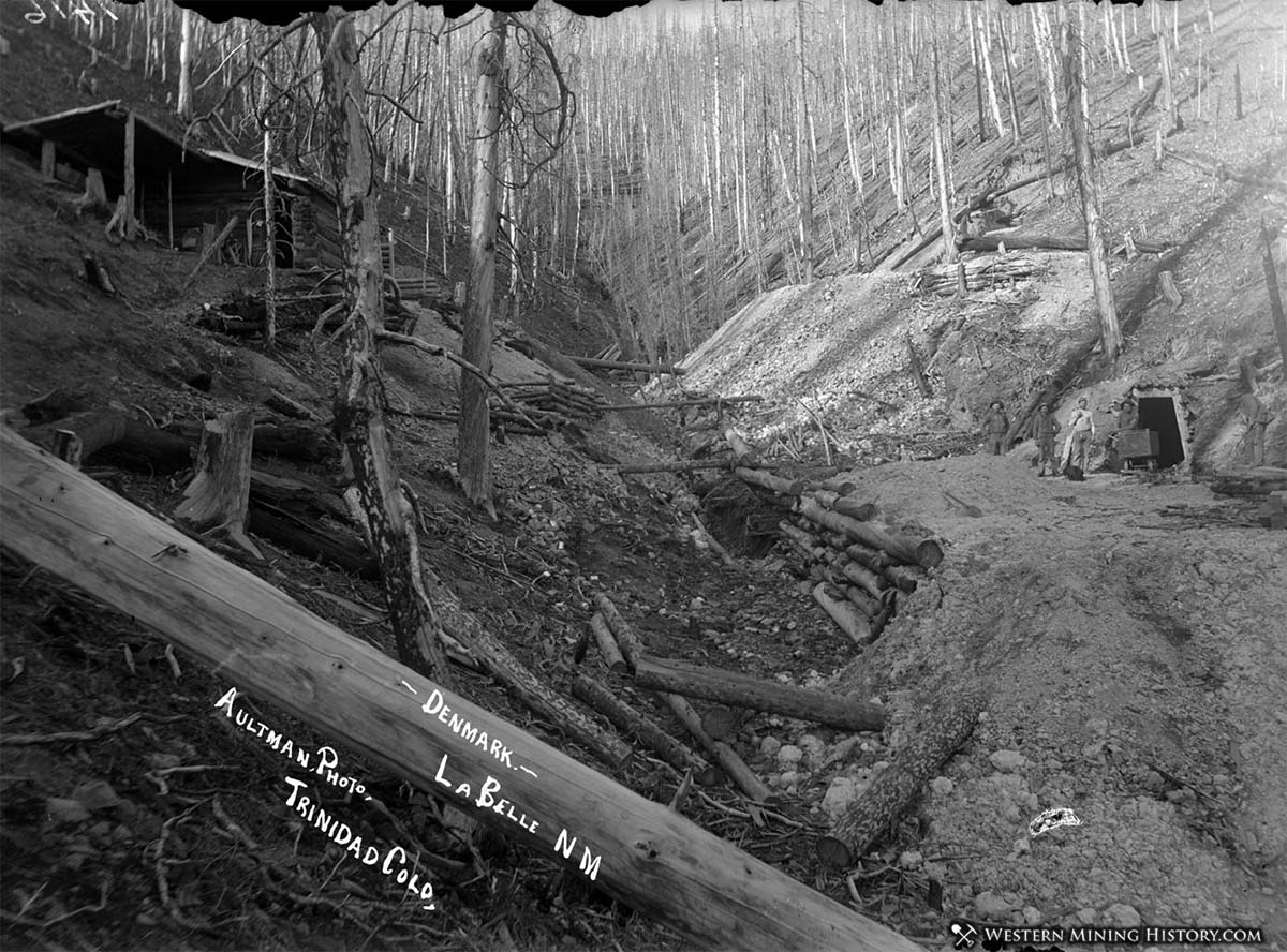 Denmark Mine at La Belle, New Mexico ca. 1894