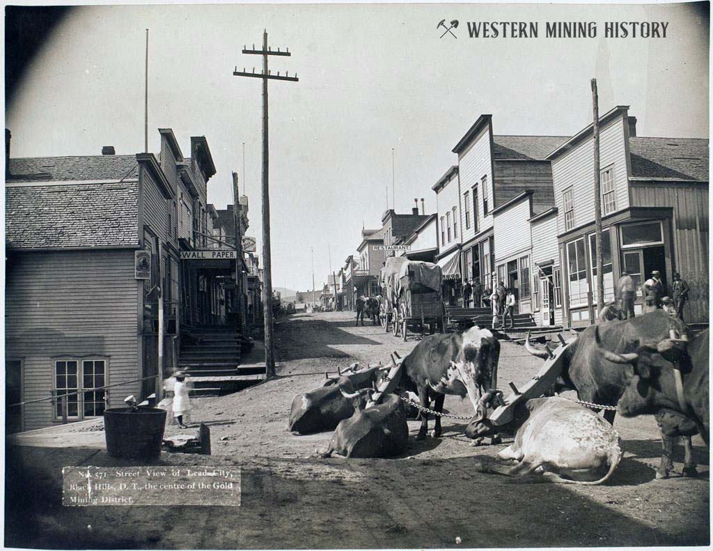 Lead City, South Dakota ca. 1887