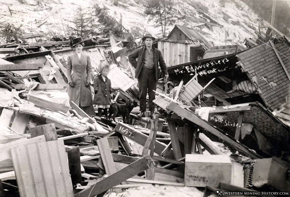 Dog inspects the Weekler family's home that demolished by a snowslide - Mace, Idaho 1910