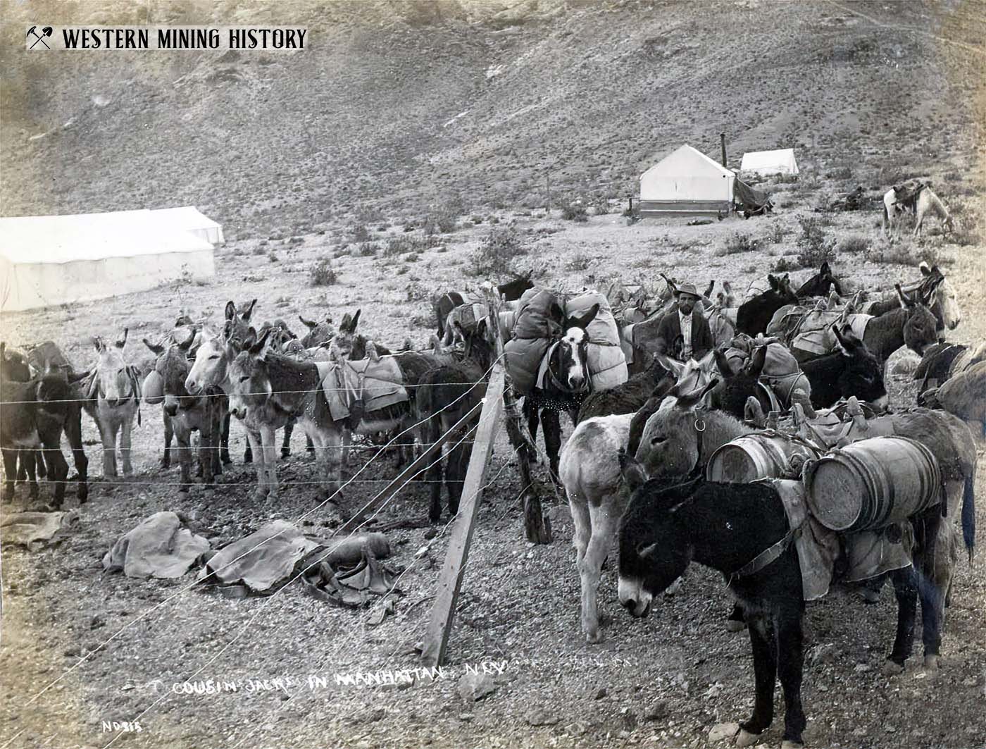 Cousin Jacks and pack train at Manhattan, Nevada ca. 1906