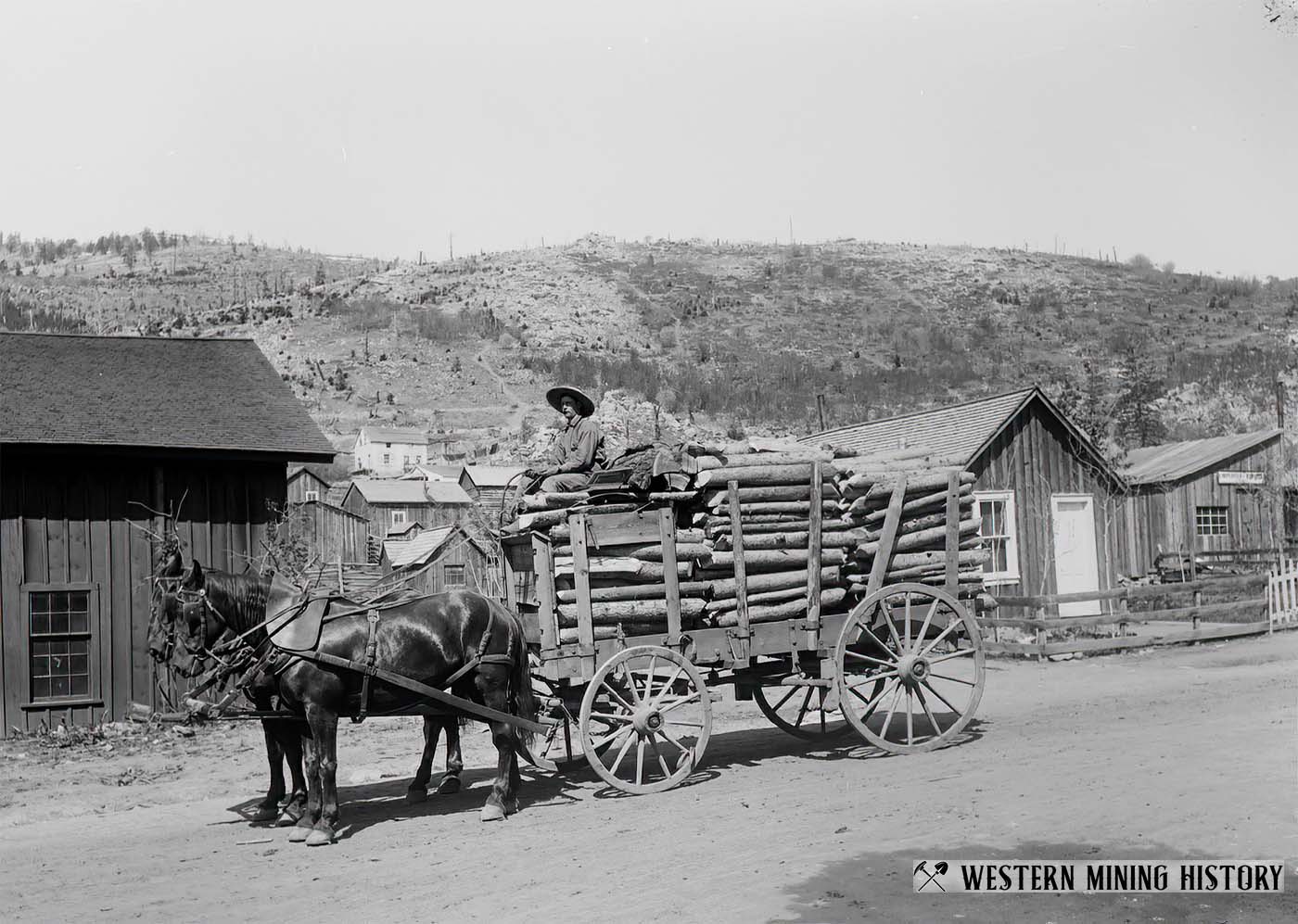 A wagon haul fuel wood at Marysville, Montana 1890