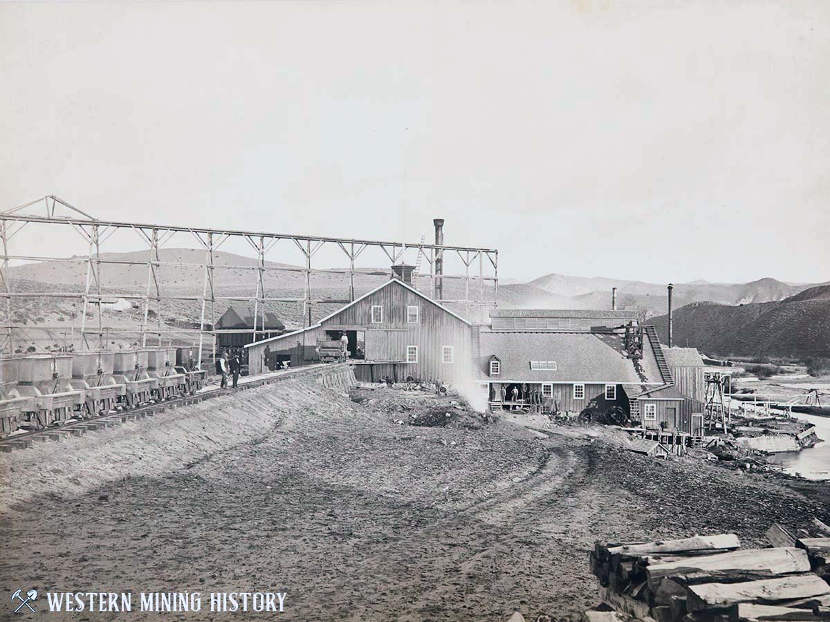 The NNVHS! on X: Messicks Fish Factory, Irvington, Virginia, ca. 1910.  1912 Menhaden Industry report, There are at present about 50 fish-scrap  factories scattered along the Atlantic and Gulf coasts. The largest