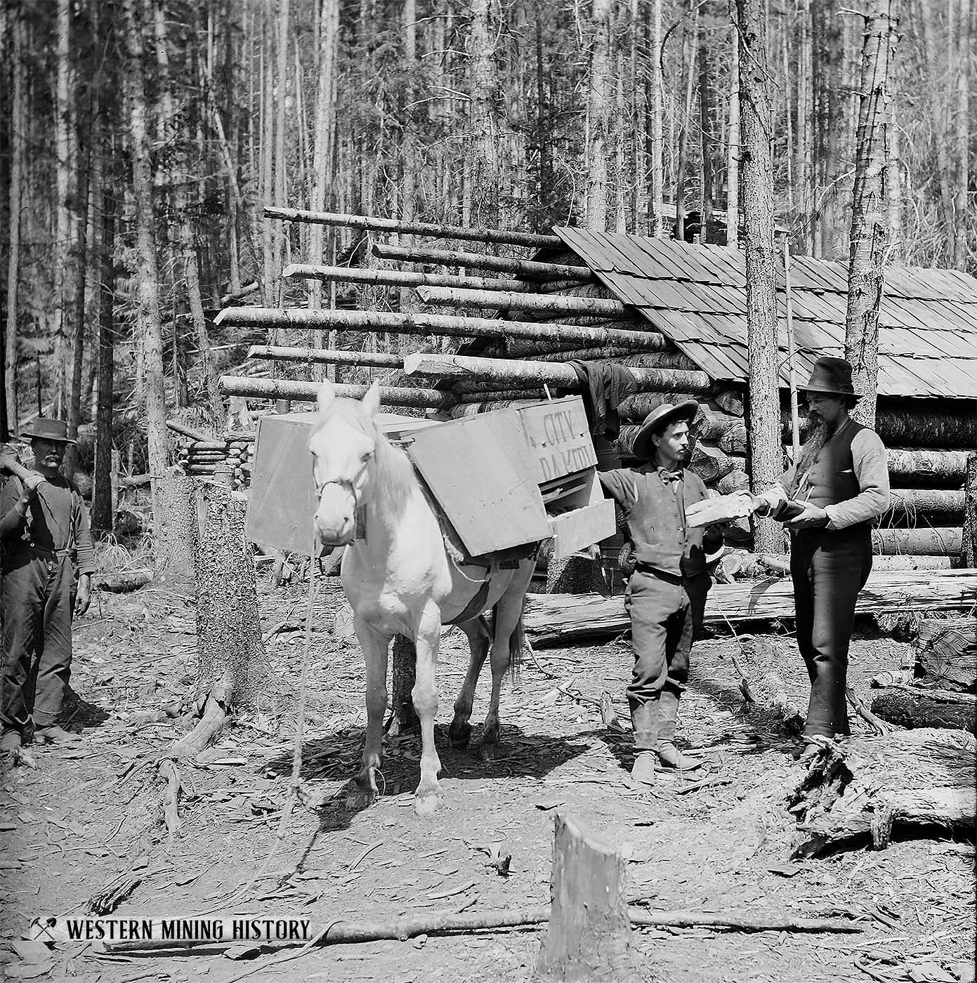 Baker delivers bread to miners near Murray, Idaho 1884