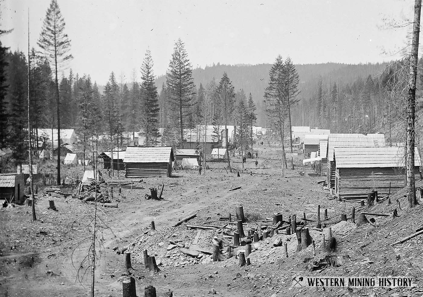 Murrayville, Idaho from east 1884