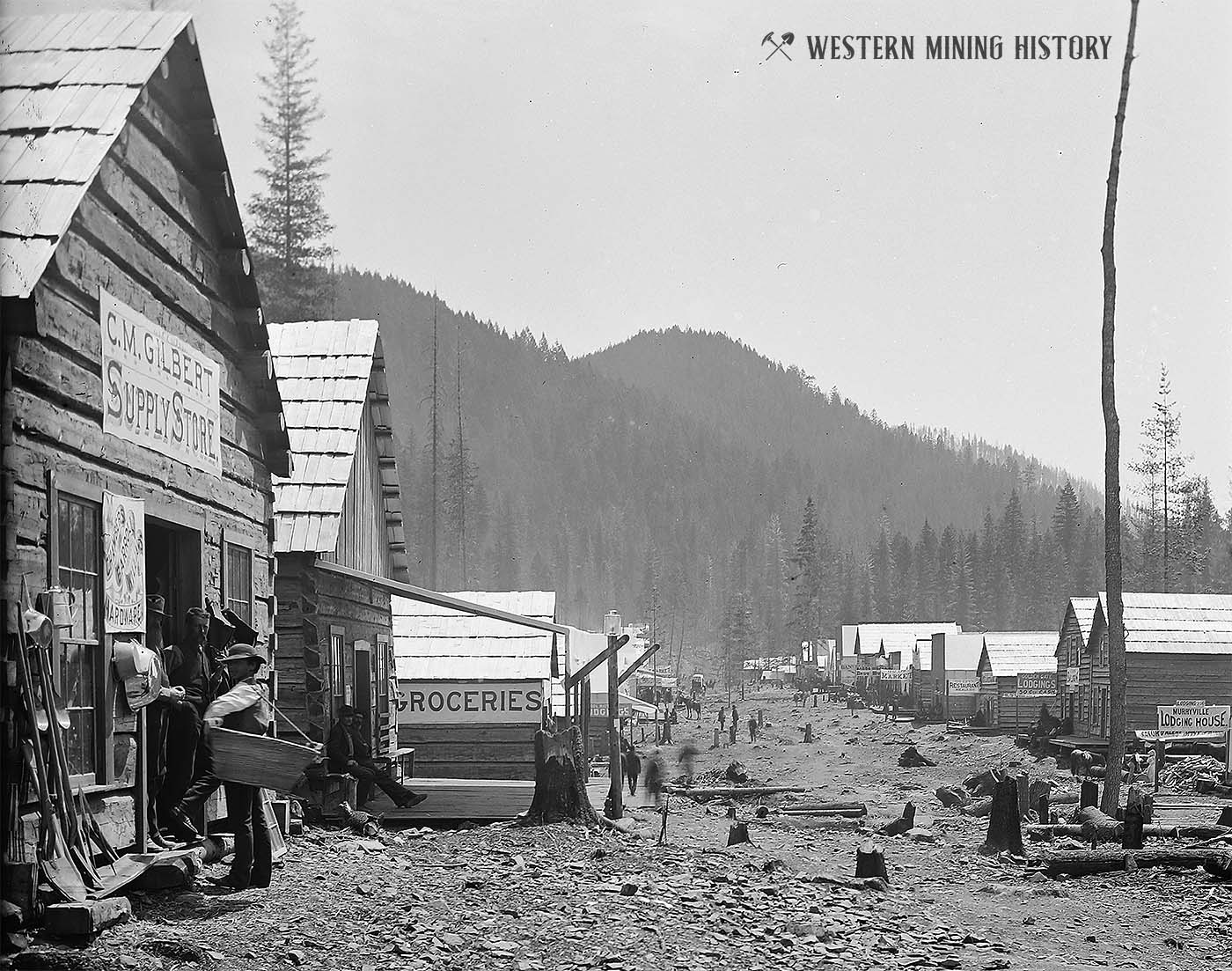 Murrayville, Idaho from west 1884