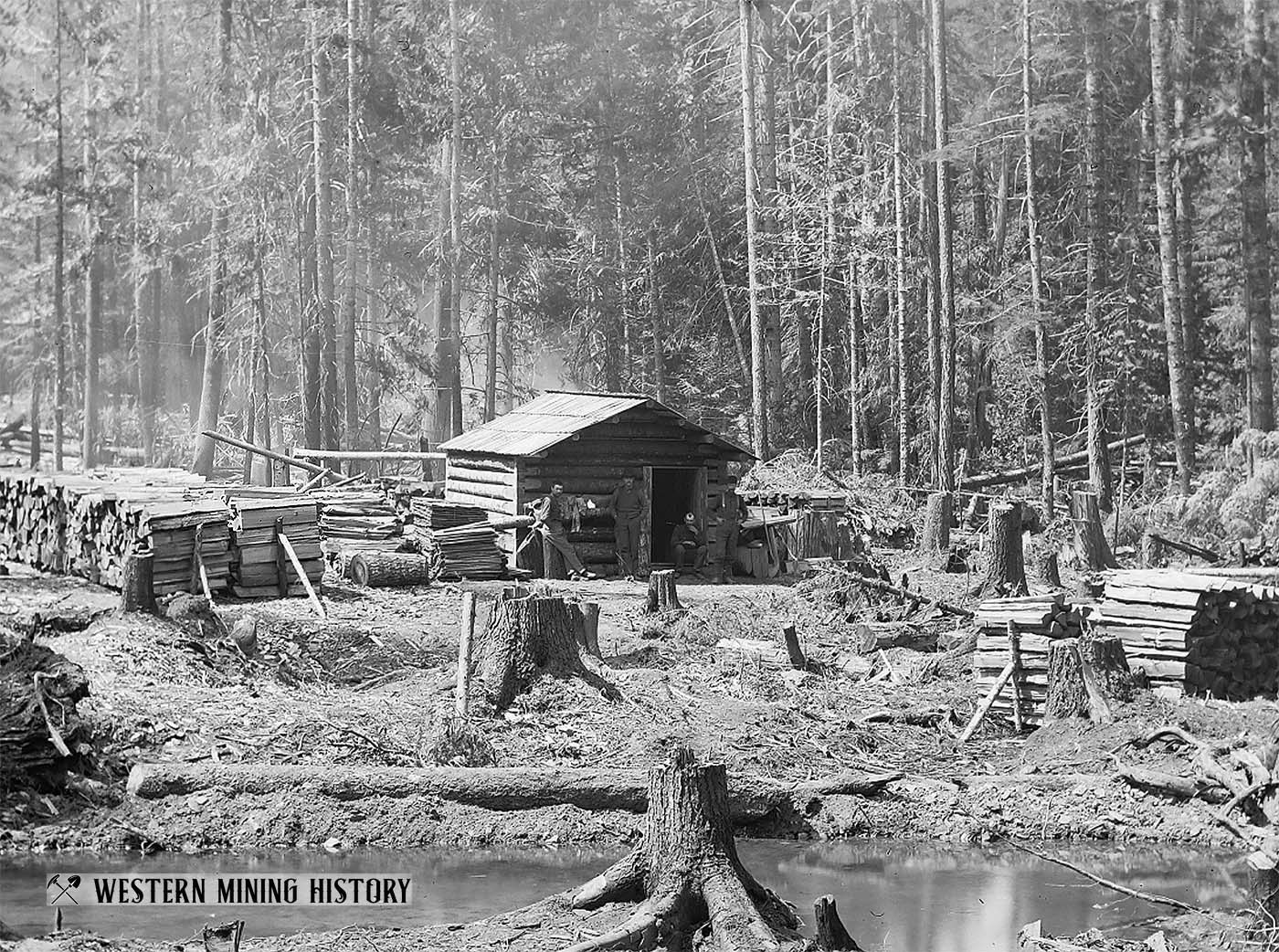 The Widow Claim, Coeur d'Alene mines (Murray ID) 1884