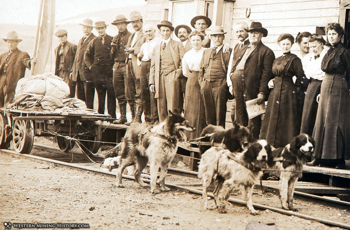 Dogs pulling a rail cart at Nome, Alaska