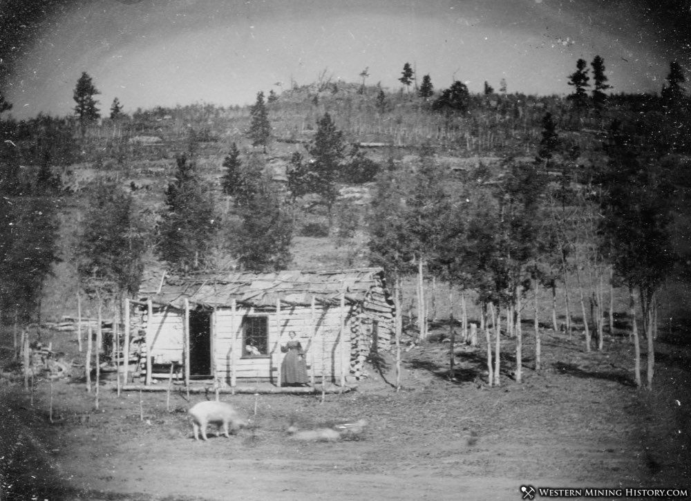 First cabin in Russell Gulch ca. 1859