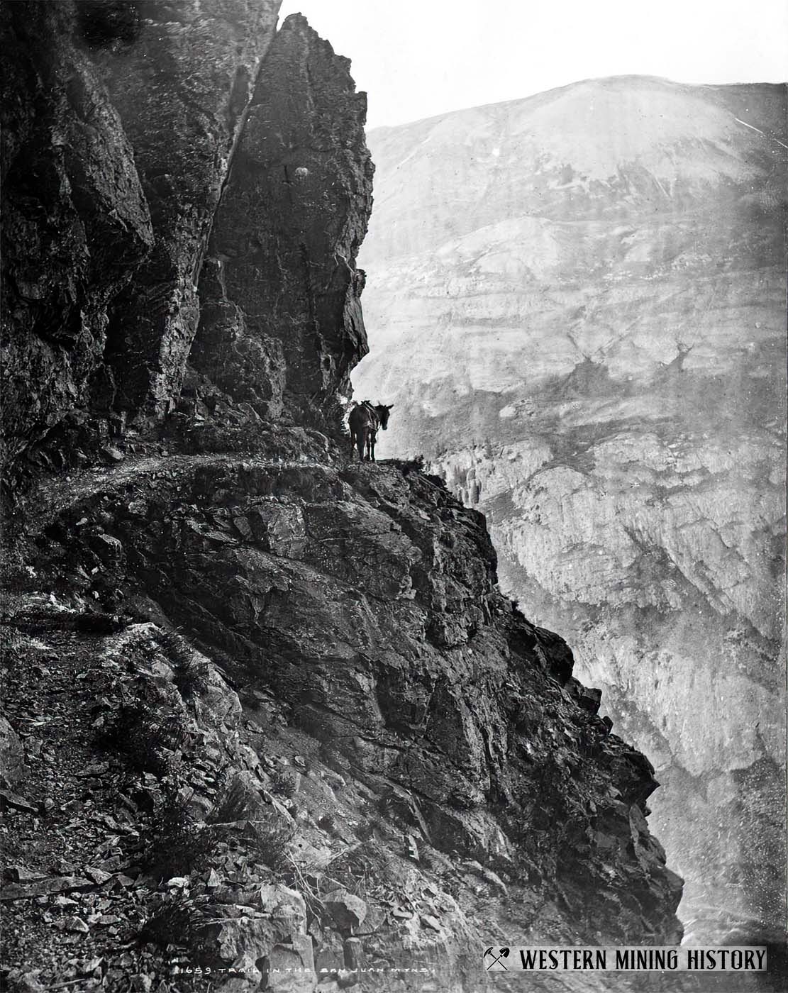 Trail in the San Juan Mountains