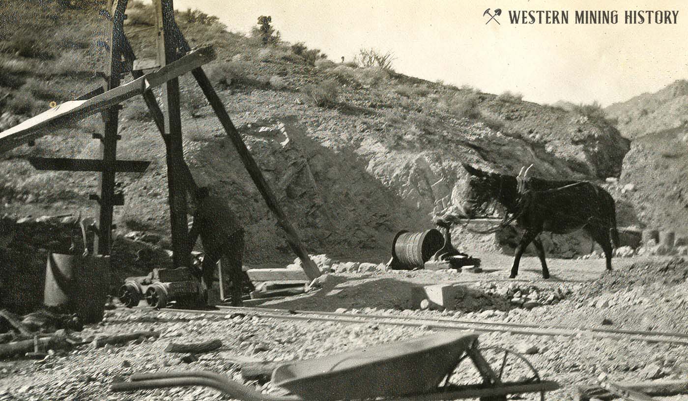 Horse whim and shaft at Searchlight Nevada ca. 1900