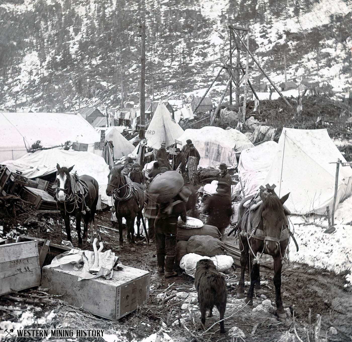 A picturesque street in Sheep Camp, Alaska