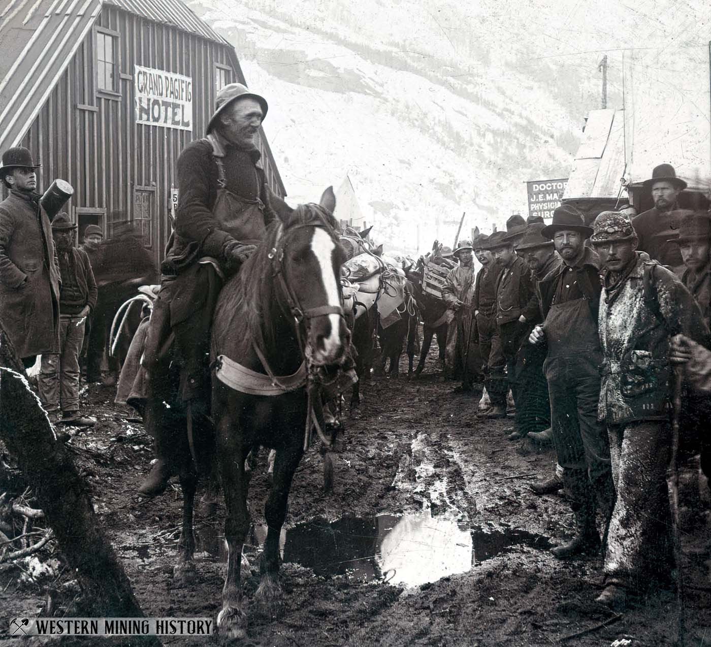 Sheep Camp Alaska