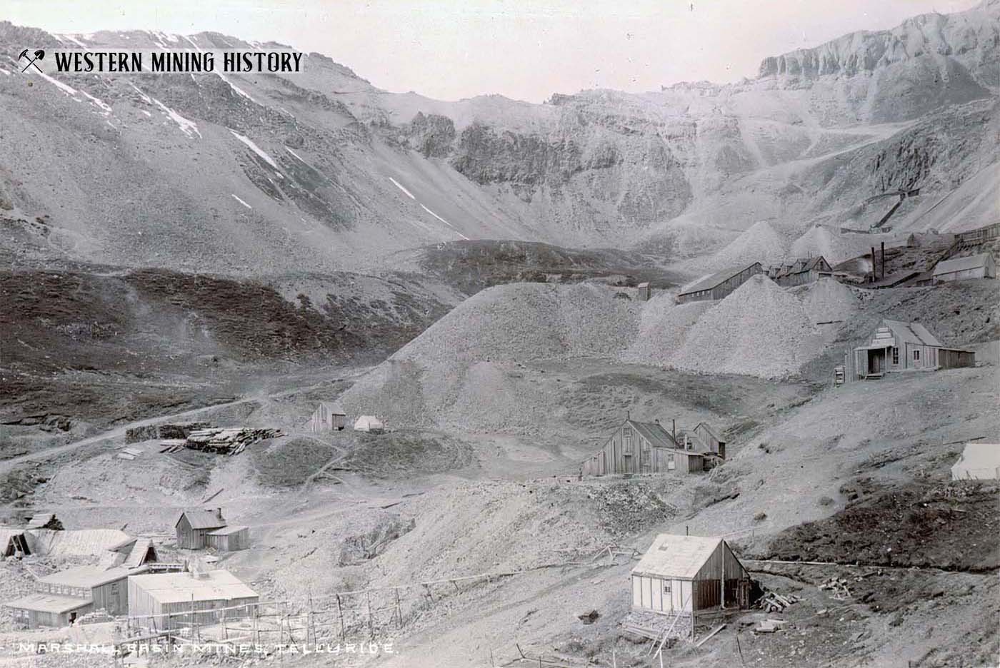 Sheridan No. 2 mine at Marshall Basin ca. 1880s