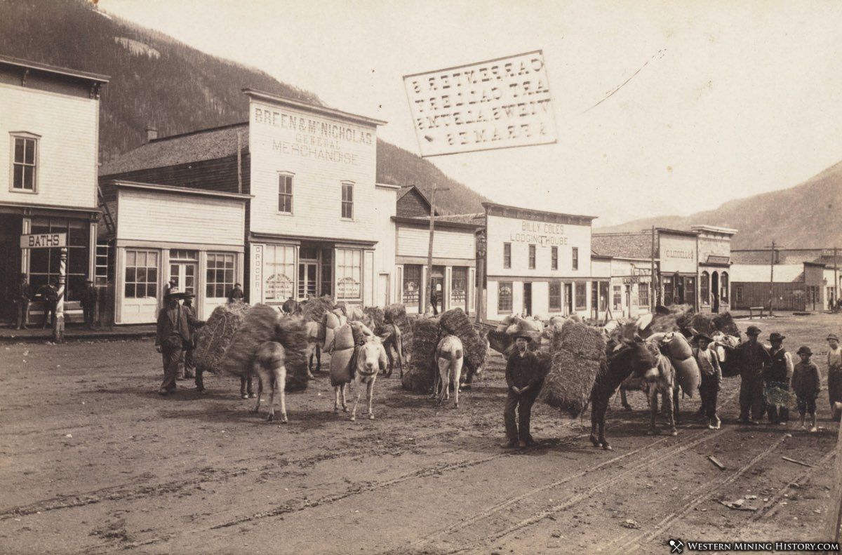 Pack train hauling hay at Silverton, Colorado ca. 1880s