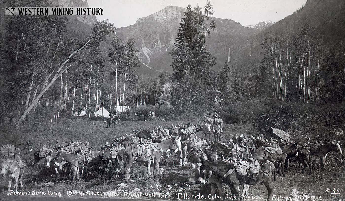 Burnett's Burro Camp - Telluride, Colorado 1886