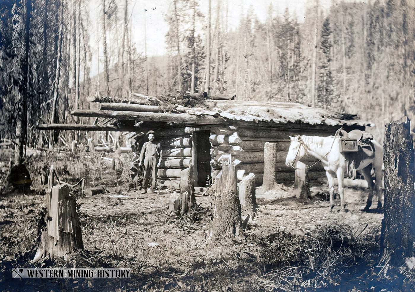 Miner's cabin at Thunder Mountain ca. 1902