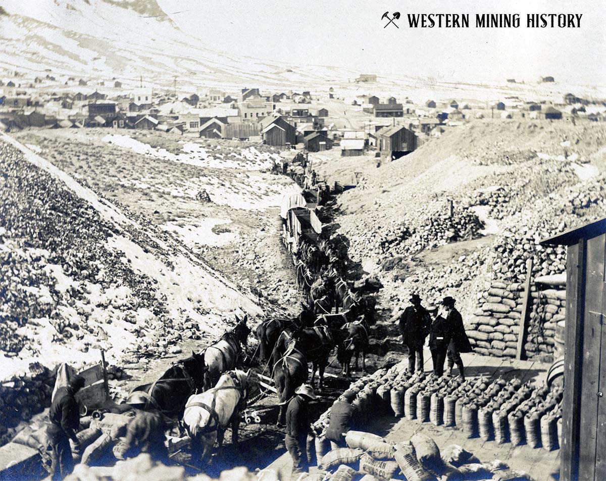 Freight teams loading ore at a Tonopah mine ca. 1903