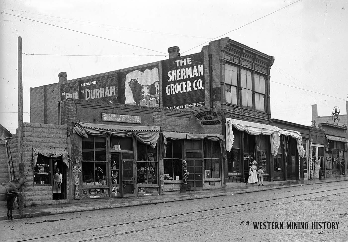 Trinidad, Colorado street scene ca. 1880s